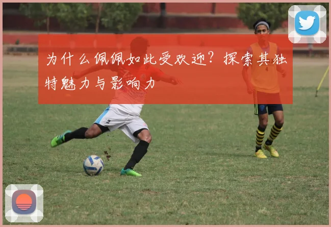为什么佩佩如此受欢迎?探索其独特魅力与影响力